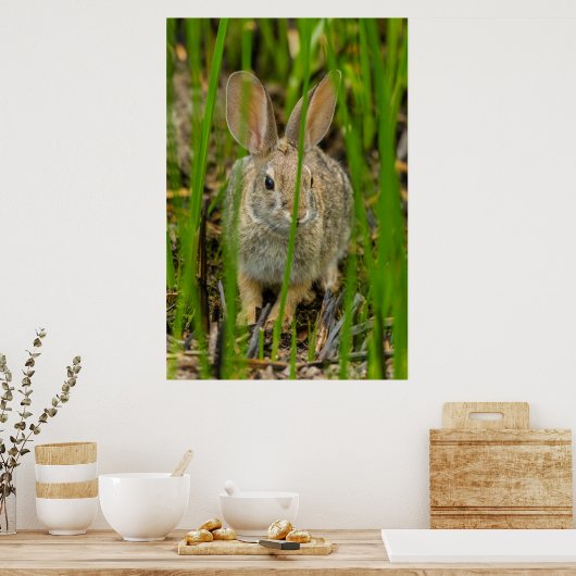 Desert Cottontail Rabbit Poster (Küche)