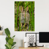 Desert Cottontail Rabbit Poster (Heimbüro)