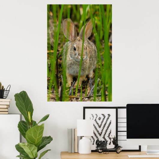 Desert Cottontail Rabbit Poster (Heimbüro)