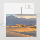 Desert Dawn Postkarte (Vorne/Hinten)