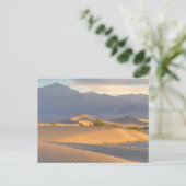 Desert Dawn Postkarte (Stehend Vorderseite)