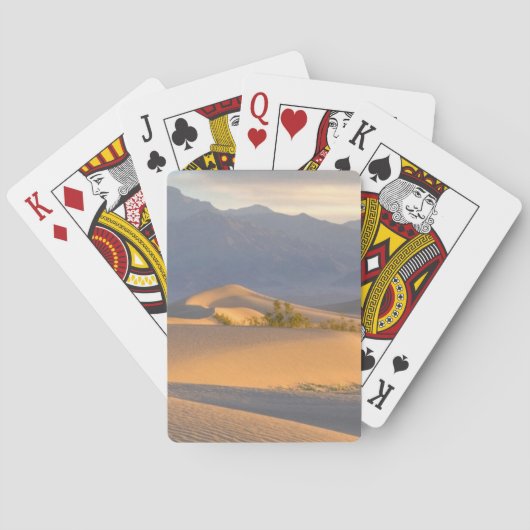 Desert Dawn Spielkarten (Rückseite)