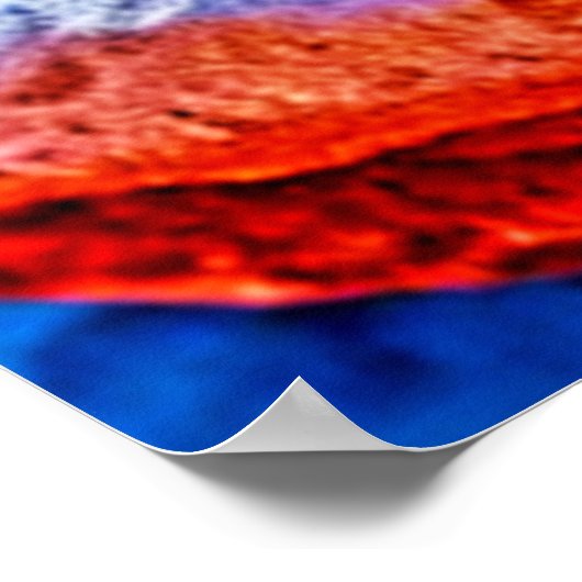 Desert Dragon Lizard Design Poster (Ecke)