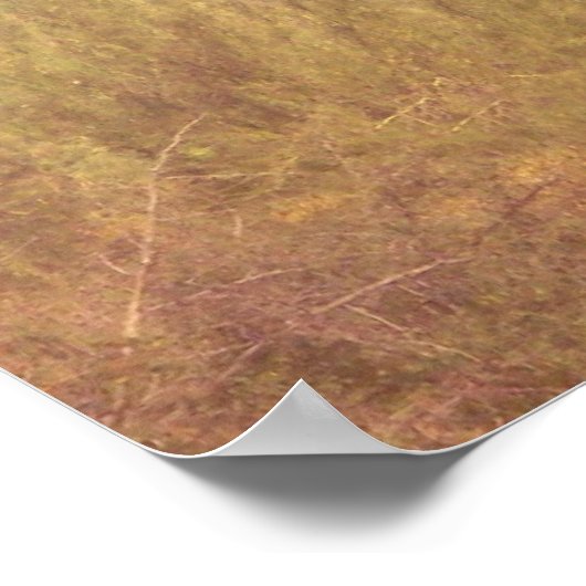 Desert Dream Poster (Ecke)