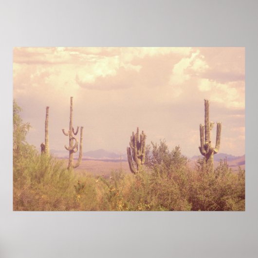 Desert Dream Poster (Vorne)