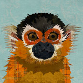 DESERT FEATHERS SPIELKARTEN