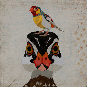 DESERT FEATHERS SPIELKARTEN