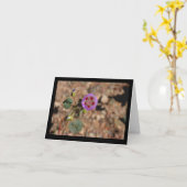 Desert Five Spot Note Card Karte (Gelbe Blume)