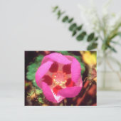 Desert Five Spot-Wildblume Postkarte (Stehend Vorderseite)