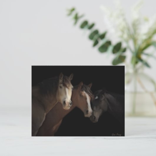 Desert Ghosts Postcard Postkarte (Stehend Vorderseite)