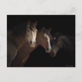 Desert Ghosts Postcard Postkarte (Vorderseite)