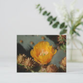 Desert Gold Postkarte (Stehend Vorderseite)