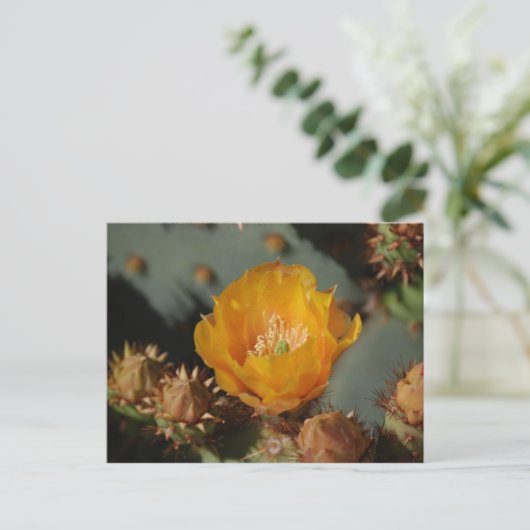 Desert Gold Postkarte (Stehend Vorderseite)