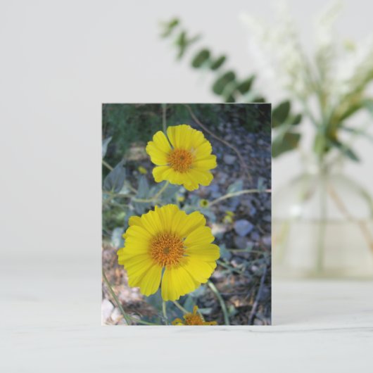 Desert Gold Postkarte (Stehend Vorderseite)