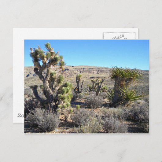 Desert Greenery Postkarte (Vorne/Hinten)