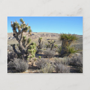 Desert Greenery Postkarte