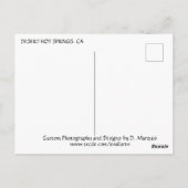 DESERT HOT SPRINGS #3 POSTCARD POSTKARTE (Rückseite)