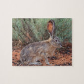 Desert Jackrabbit Puzzle (Horizontal)
