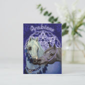 Desert Jewels Arabian Pferde Postcard Postkarte (Stehend Vorderseite)
