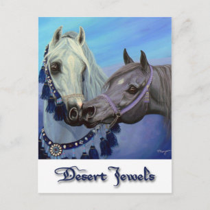 Desert Jewels Arabian Pferde Postcard Postkarte