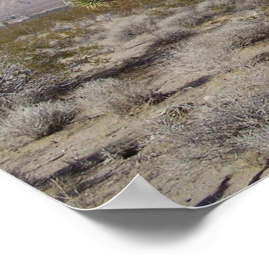 Desert Joshua Tree Poster (Ecke)