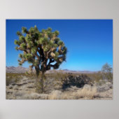 Desert Joshua Tree Poster (Vorne)