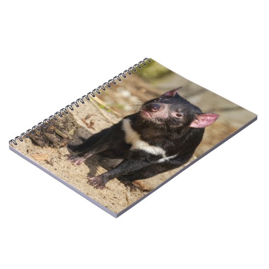 Desert Light – Tasmanian Devil Notizblock (Linke Seite)