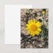 Desert Marigold Dankeskarte (Vorne/Hinten)