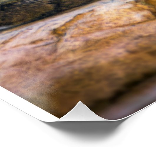 Desert Monarch: The Resting Cougar Poster (Ecke)