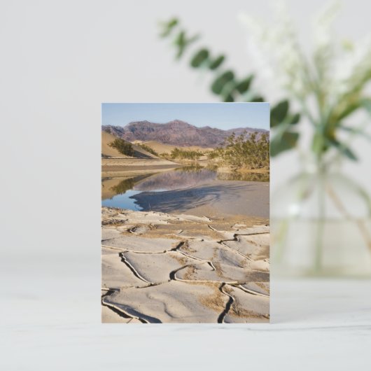 Desert Oasis Postkarte (Stehend Vorderseite)