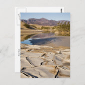 Desert Oasis Postkarte (Vorne/Hinten)