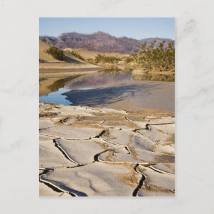 Desert Oasis Postkarte