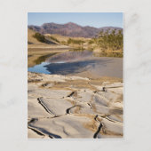 Desert Oasis Postkarte (Vorderseite)