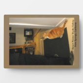 Desert Painter Studio Gallery in Palm Springs, CA Fotoplatte (Vorderseite)