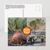 Desert Plants Postcard Postkarte (Vorne/Hinten)