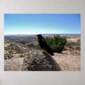 Desert Raven Poster (Vorne)