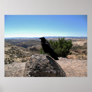 Desert Raven Poster