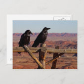 Desert Ravens Postkarte (Vorne/Hinten)