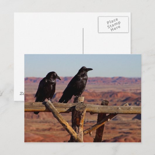 Desert Ravens Postkarte (Vorne/Hinten)