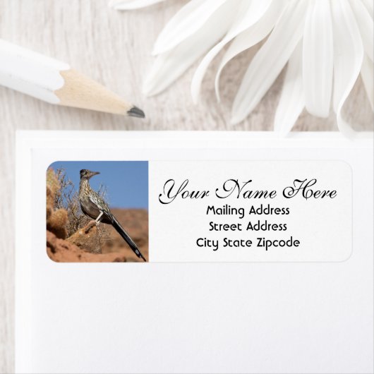 Desert Roadrunner-Rücksendeadresse (Insitu)