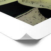 Desert Rosette, Poster (Ecke)