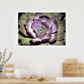 Desert Rosette, Poster (Küche)