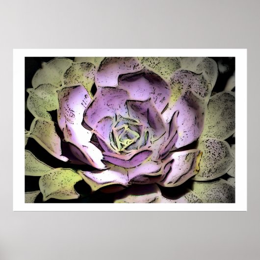 Desert Rosette, Poster (Vorne)