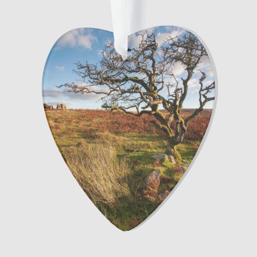 Desert Savannah Dated Photo Custom Ornament (Vorderseite)