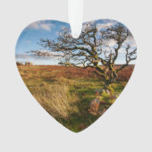 Desert Savannah Dated Photo Custom Ornament (Vorderseite)