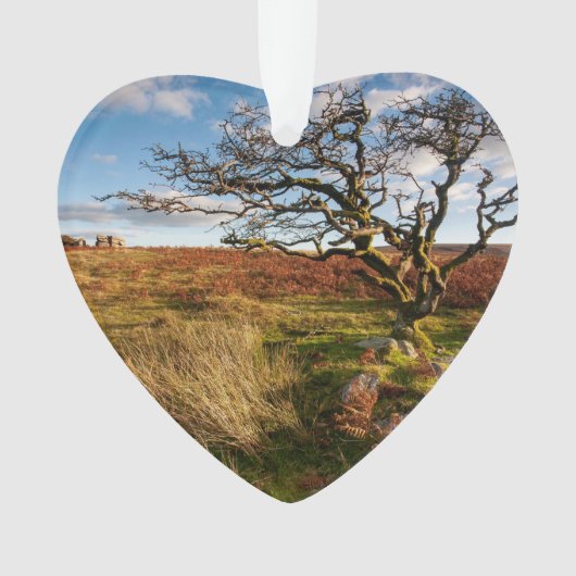 Desert Savannah Dated Photo Custom Ornament (Vorderseite)