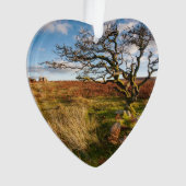 Desert Savannah Dated Photo Custom Ornament (Vorderseite)