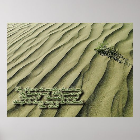 Desert Scripting Inspiration Poster (Vorne)