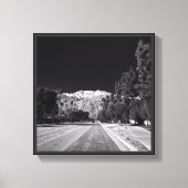 Desert Snow-Rancho Mirage, CA, von Tom Masters Leinwanddruck (Vorderseite)