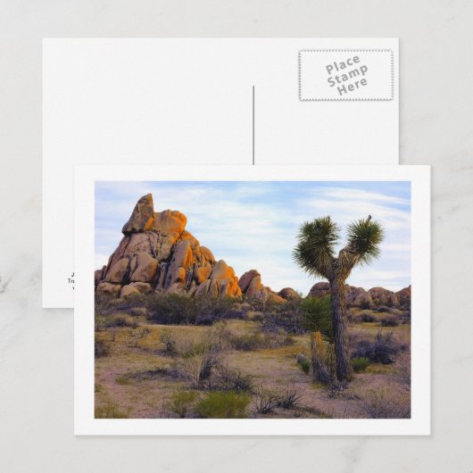 " Desert Soft Light " Postkarte (Vorne/Hinten)